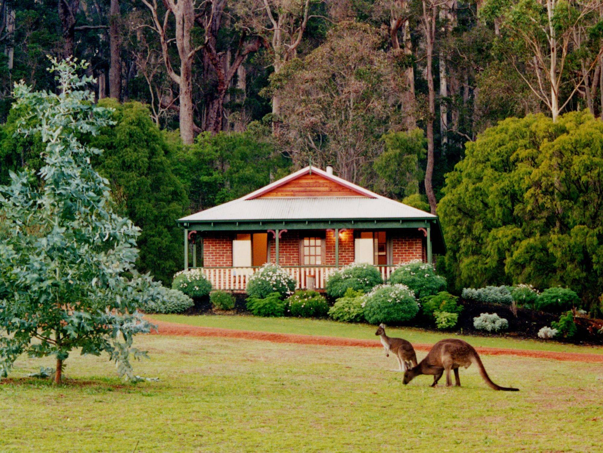 Karri Valley Chalets Pemberton Buitenkant foto